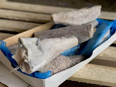 🐟 Ледяная рыба купить в Москве по цене за 1 кг от 1350 руб —  интернет-магазин Дикоед