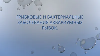 Профилактика, распознавание заболеваний аквариумных рыб.