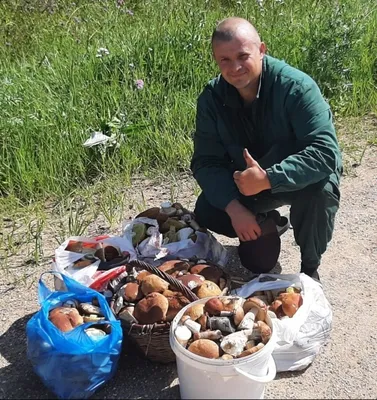 Жители Кировской области хвастаются добычей «тихой охоты» » ГТРК Вятка -  новости Кирова и Кировской области