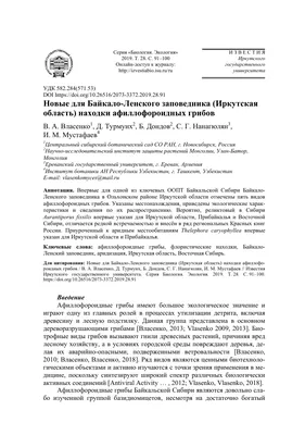 Как отличить ядовитые грибы от съедобных: подробный гид по грибам  Нижегородской области - 24 августа 2021 - nn.ru