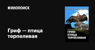 Гималайский грифон / грифон :: гриф :: птица / смешные картинки и другие  приколы: комиксы, гиф анимация, видео, лучший интеллектуальный юмор.