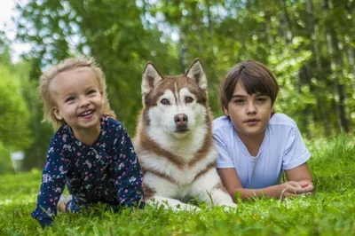 Улица ,Калининград,мим парень,грим …» — создано в Шедевруме