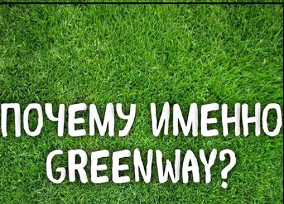 Моя правда о Гринвей. Стоит оно того или нет? | Greenway Partners | Дзен