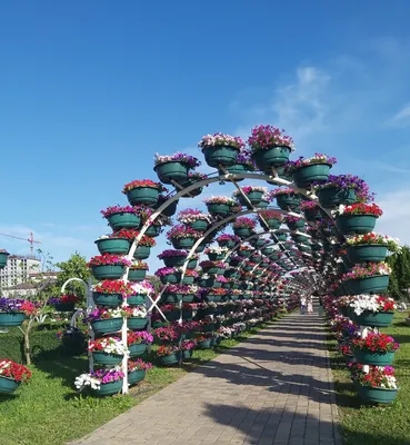 Поездка в Грозный: Экскурсия. Достопримечательности. Впечатления