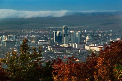 Магия вечерних городов: Грозный, Аргун и Шали 🧭 цена экскурсии 7200 руб.,  68 отзывов, расписание экскурсий в Грозном