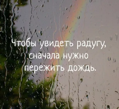 Иллюстрация 4 из 12 для Стихи. Песни - Александр Новиков | Лабиринт -  книги. Источник: Лабиринт