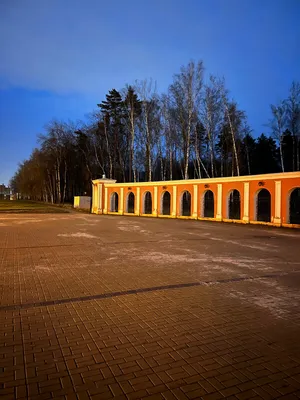 Фото: Губернский парк, лесопарк, городской округ Калуга, Губернский парк —  Яндекс Карты