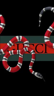 gucci snake | Обои для iphone, Обои для телефона, Обои фоны