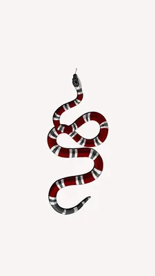 Обои на телефон. GUCCI | Gucci wallpaper iphone, Snake wallpaper, Aesthetic  iphone wallpaper