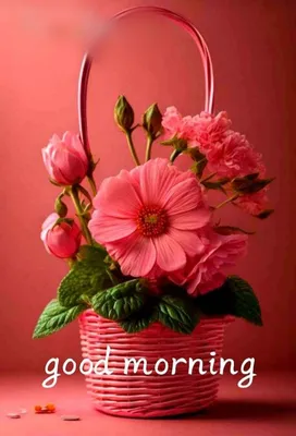 Wall Art Print | Good Morning Poster | Abposters.com