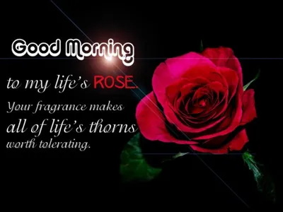 100 Best \"Good Morning\" Messages to Send Someone