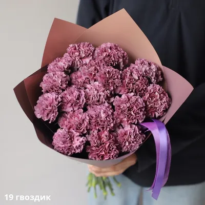 S3109 Гвоздика турецкая Sweet Black Cherry 5шт. - купить в Москве в  интернет-магазине