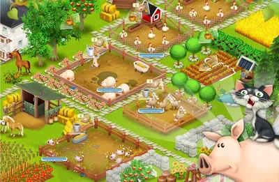 Started hay day 2 weeks ago! This is my farm! Any tips? Anyone wanna be  friends ? Haven't spent any $ and planning on doing a free-to-play play  through. : r/HayDay