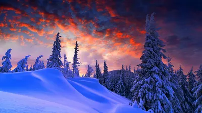 Обои лес, зима, forest, snow, winter, sunrise, clouds, 8k, Природа #17357 -  Страница 25