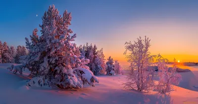 Photography Winter HD Wallpaper