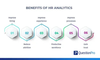 HR Path | HR and HRIS consulting experts for your business