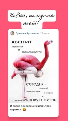 Доброе утро друзья🌻 Вот и снова понедельник ☺️ новая неделя, а это значит  все записываемся за новыми ощущениями👍#сало.. | ВКонтакте