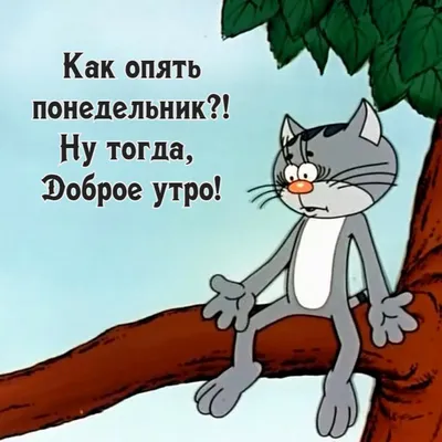 И снова понедельник... | Пикабу