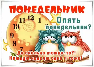 Нам бы понедельники, взять и отменить. | ирина никурова, для души, без  суеты | Дзен