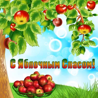 Яблочный Спас 2023: какого числа, суть, традиции и описание праздника в  России
