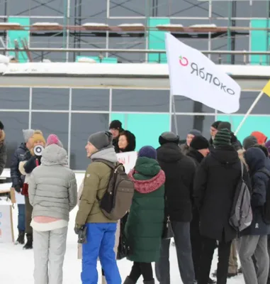 Яблоня \"Спартан\" купить в питомнике растений с доставкой по Волгограду и  Волгоградской области, саженцы, выращивание, посадка и уход