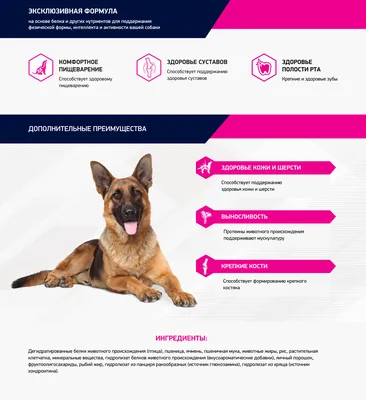 Guabi Natural Dog Adult сухой корм для взрослых собак средних пород, с  лососем и ячменем - 12 кг - купить в Москве | КотМатрос