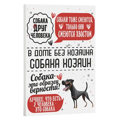 Собака немецкий ягдтерьер: характеристика, особенности породы и фото