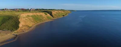 Берег Волги в Тольятти усеян мёртвой рыбой, запах стоит невыносимый