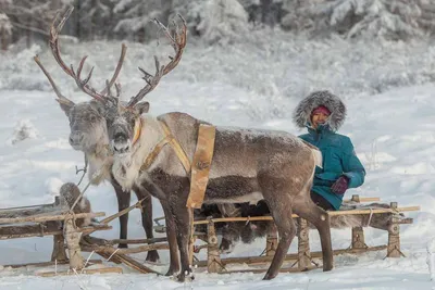 Зима в Якутии