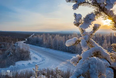 Ночной Якутск 🤗 Фото @timolga54 Зимние зарисовки в г. Якутске❄️❄️❄️💙🌲 .  Сегодня у нас -49°🥶😨✊ #зимнийЯкутск #зимавякутии… | Instagram