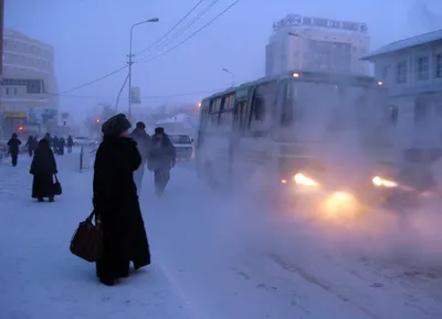 Зима в Якутии в этом году будет холоднее, чем в прошлом - YakutiaMedia.ru