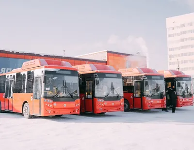 город Якутск - «Якутск - страна в стране. Фотоэкскурсия по столице  республики Саха» | отзывы