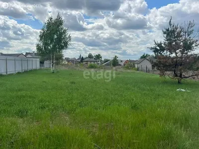 СЗ Срк Дон купить квартиру в пригороде Воронежа с. Ямное, недвижимость,  цены от 1.2 млн руб | Жилье от застройщика в пригороде Воронежа