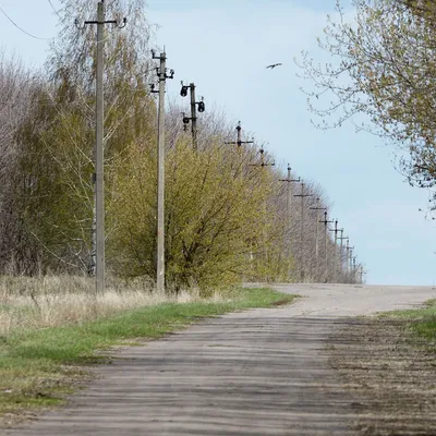 https://voronezh.domclick.ru/pokupka/kvartiry/voronezhskaya-oblast/ajdarovskoe-selskoe-poselenie/selo-yamnoe