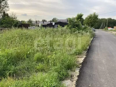 Участок в село Ямное, Октябрьская улица (25 м), Купить земельный участок  Ямное, Рамонский район, ID объекта - 20007059503