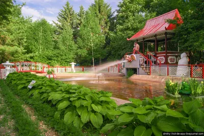 Японский сад, парк Clingendael, Гаага, Нидерланды Стоковое Фото -  изображение насчитывающей дзэн, мирно: 129425794