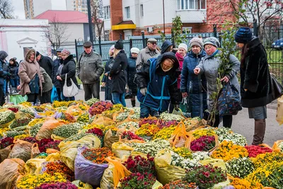 Cорочинская ярмарка, Полтава: лучшие советы перед посещением - Tripadvisor