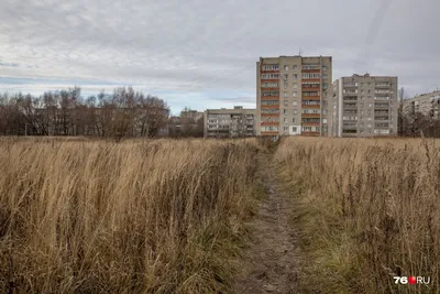 В Дзержинском районе Ярославля начали сносить знаменитый долгострой |  Ярославль и Ярославская область - информационный портал