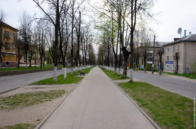 Ярцево (Ярцевский район). Церковь Петра и Павла, фотография. общий вид в  ландшафте