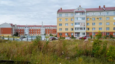 Детский сад и школу построят в микрорайоне «Ясная Поляна» под Омском .  СИБДОМ