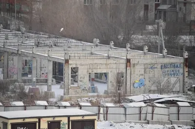 https://omsk.cian.ru/kupit-zemelniy-uchastok-omskaya-oblast-omskiy-rayon-troickoe-yasnaya-polyana-mkr-01200884/