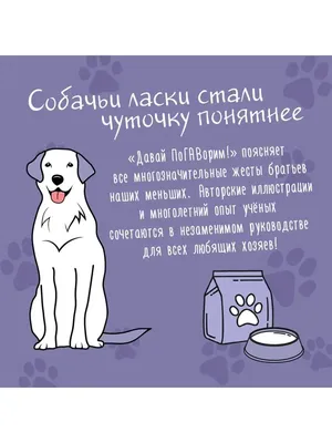 Бесплатное изображение: Боксер, собака, нос, родословная, портрет,  чистокровных, вид сбоку, зубы, язык, собак