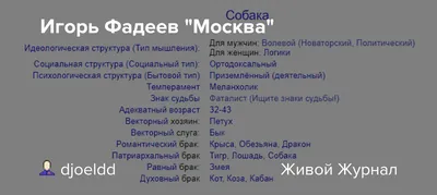 О непростых русских судьбах: известный калужский писатель и журналист Игорь  Фадеев выпустил новую книгу - МК Калуга