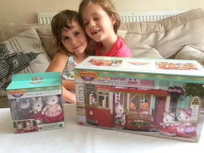 Sylvanian Families Calico Critters Ice Skating Friends Christmas Setup  Review - Kids Toys - YouTube