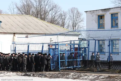 Жители Тверской области смогут сходить на свидания в колонии - МК Тверь