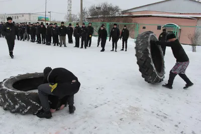 В ФКУ ИК-1 г. Твери прошли состязания по CROSS-FIT | Тверской Дайджест