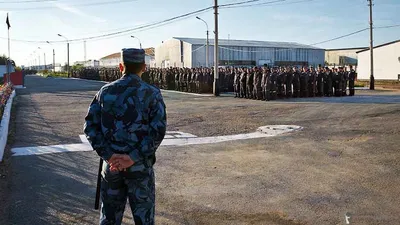 В Омске амнистировали бывшего начальника колонии, которому зэки строили дом  | Последние Новости Омска и Омской области | БК55