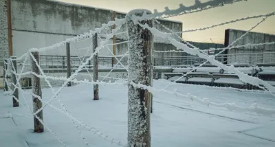 Трупы , порно , сауны , голодовка в ИК-2 Тюмени/ведомство, которое принял  Аркадий Гостев/ФСИН России - YouTube