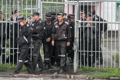 В пермской колонии, где пытали заключенных, осужденный объявил голодовку —  URA.RU