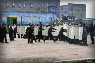 Мама, нас будут прессовать!»: что происходило с заключенными в ИК-5 после  бунта - 10 февраля 2019 - 63.ru